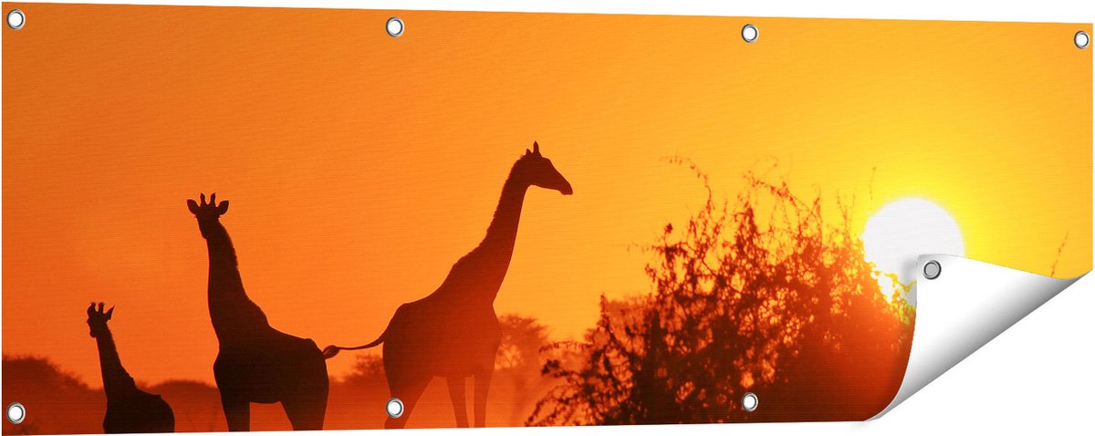 Gards Tuinposter Drie Giraffe Silhouetten bij Zonsondergang - 120x40 cm - Tuindoek - Tuindecoratie - Wanddecoratie buiten - Tuinschilderij Multikleur