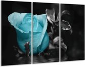 Glasschilderij Roos - Blauw, Grijs, Zwart - 120x80cm 3Luik - Foto Op Glas - Geen Acrylglas Schilderij - GroepArt 6000+ Glas Art Collectie - Maatwerk Mogelijk
