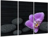 Glasschilderij Orchidee - Paars, Wit, Grijs - 120x80cm 3Luik - Foto Op Glas - Geen Acrylglas Schilderij - GroepArt 6000+ Glas Art Collectie - Maatwerk Mogelijk