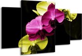GroepArt - Schilderij -  Orchidee - Roze, Groen, Zwart - 160x90cm 4Luik - Schilderij Op Canvas - Foto Op Canvas