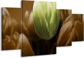 Peinture sur toile Tulipe | Brun vert | 160x90cm 4 Liège
