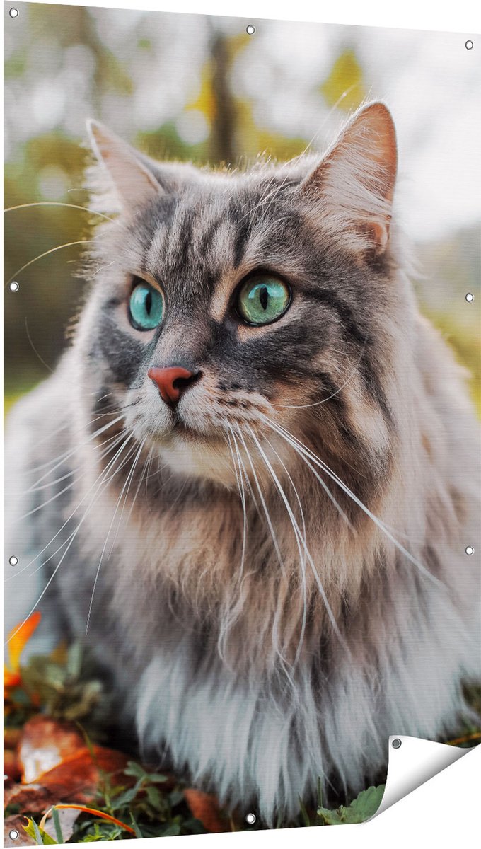 Gards Tuinposter Kat met Groene Ogen op het Gras - 100x150 cm - Tuindoek - Tuindecoratie - Wanddecoratie buiten - Tuinschilderij Multikleur
