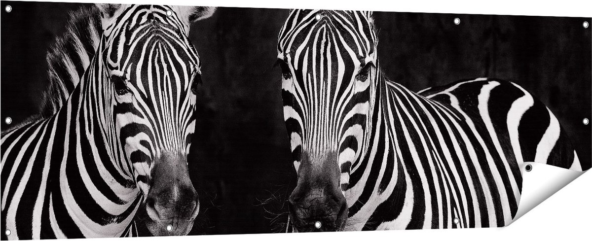 Gards Tuinposter Twee Zebra's - Zwart Wit - 180x60 cm - Tuindoek - Tuindecoratie - Wanddecoratie buiten - Tuinschilderij Multikleur