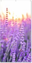 Schuttingposter Lavendel - Close-up - Paars - Bloemen - 100x200 cm - Tuindoek
