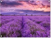 Tuinschilderij Lavendel - Paars - Bloemen - Veld - 80x60 cm - Tuinposter - Tuindoek - Buitenposter