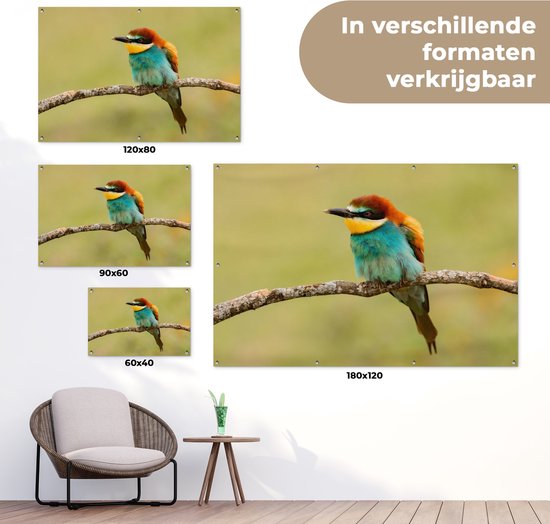 Affiche de Jardin Vogel - Guêpier - Animaux - 60x40 - Toile jardin - Affiche extérieure