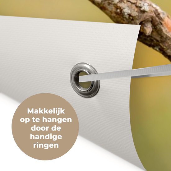 Affiche de Jardin Vogel - Guêpier - Animaux - 60x40 - Toile jardin - Affiche extérieure