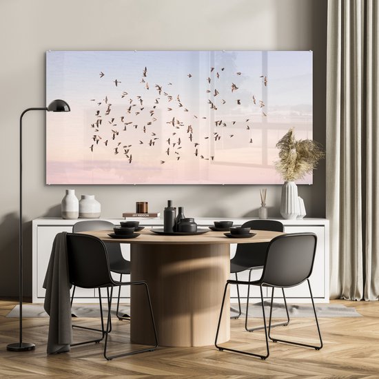 Vogels - Mer - Ciel - Nature - Eté