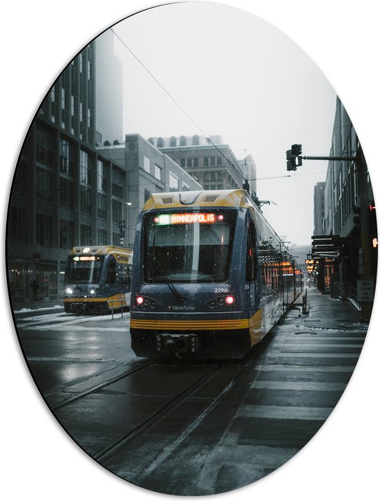 Dibond Ovaal - Trams rijdend door de Stad op Regenachtige Dag - 42x56 cm Foto op Ovaal (Met Ophangsysteem)