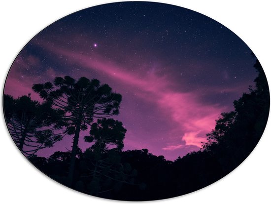 Dibond Ovaal - Paars Gekleurde Lucht boven Silhouet van Bomen - 80x60 cm Foto op Ovaal (Met Ophangsysteem)