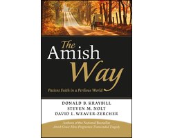 Omslag van Amish Way Patient Faith Perilous World