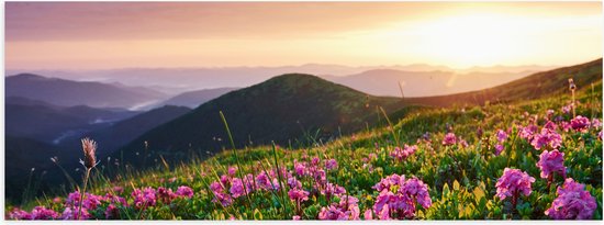 Poster Glanzend – Roze Bloemen op de Bergen van Landschap tijdens Zonsopkomst - 150x50 cm Foto op Posterpapier met Glanzende Afwerking