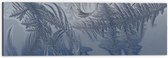 Dibond - Bevroren Vogel Veren - 60x20 cm Foto op Aluminium (Wanddecoratie van metaal)