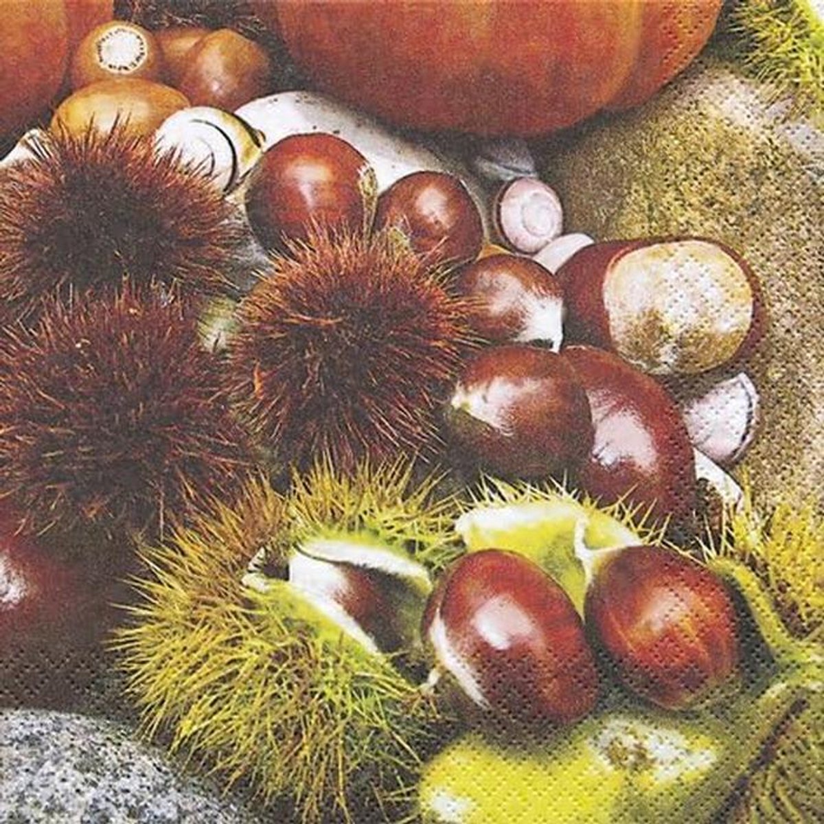 20 Papieren Servetten Kastanje Herfst Vruchten Thema 33x33 cm