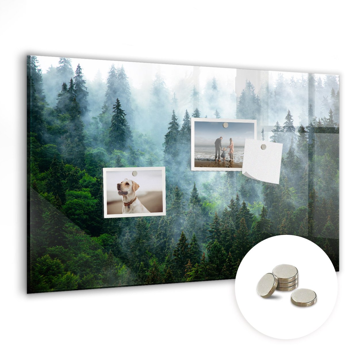 Tulup Glassboards - Mistig bos Magneetbord - 60 cm x 40 cm - Groente Magnetisch Wandbord - Gratis 5 Sterke Magneten - Moderne Wanddecoratie - Memo Magneetbord - Foto Magneetbord - Planning Muur - Memobord Keuken