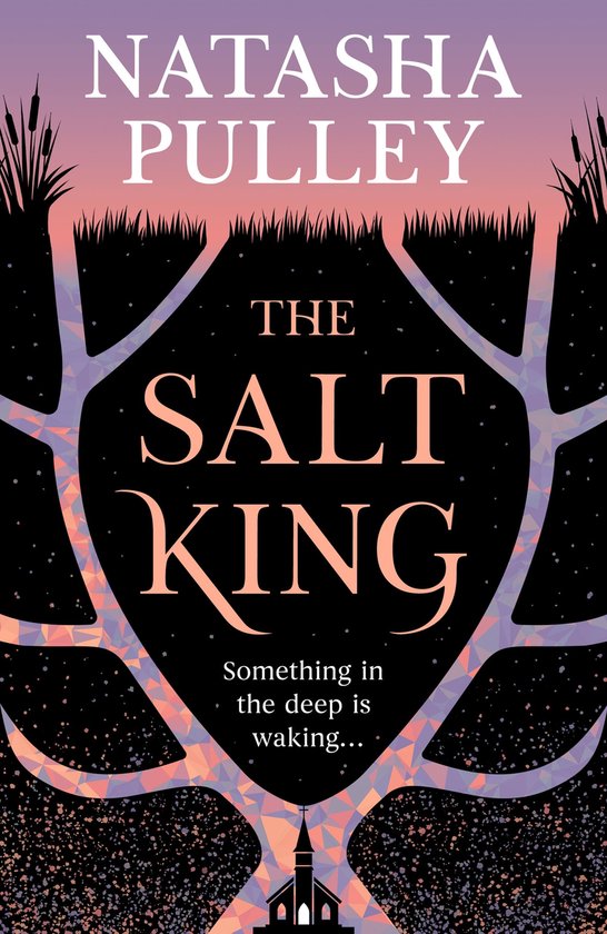 The Salt King - cover