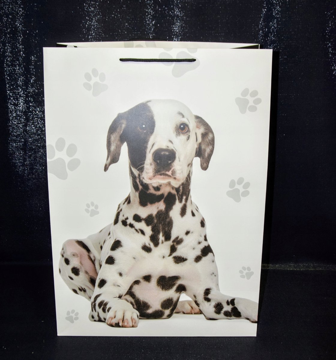 Luxe Cadeautas 56x40x20cm - Perfect voor Elke Gelegenheid
