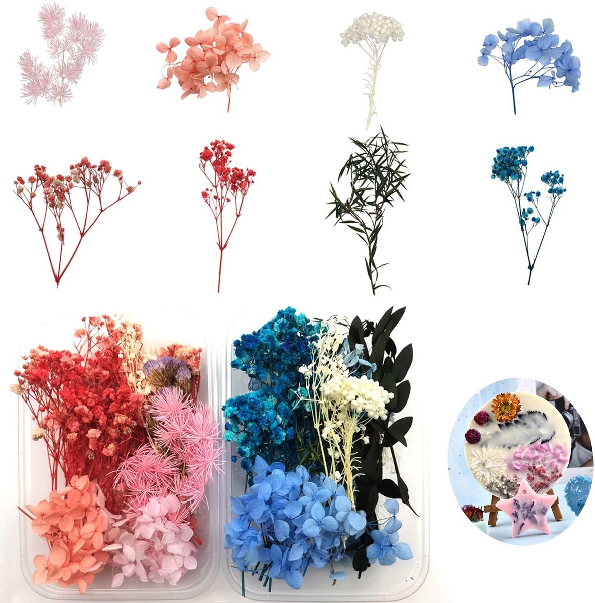 2x Echte Gedroogde Bloemen Mix voor Ambachten: Hars, Sieraden, Zeep en Decoratie