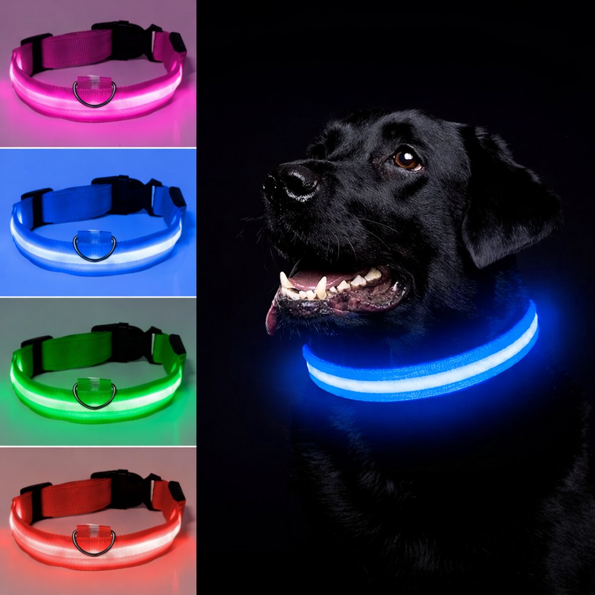 Honden halsband LED - Maat M - USB-oplaadbaar - 100% waterdicht - Blauw - Halsband met verlichting - 3 verschillende standen - Lichtgevende hondenhalsband - Super helder licht - Voor huisdieren