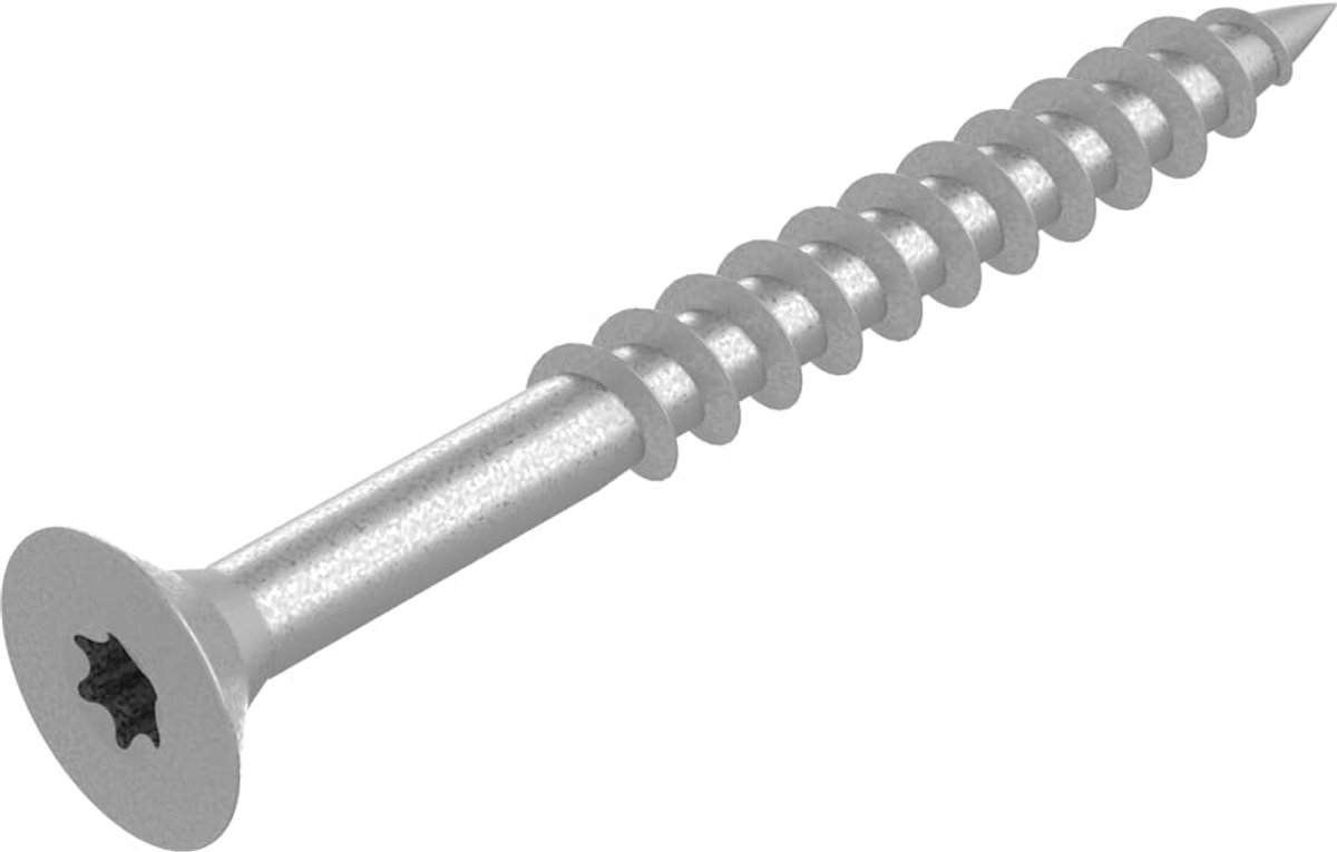 Houtschroeven 6 x 60 mm - Roestvrij Staal V2A - 100 Stuks