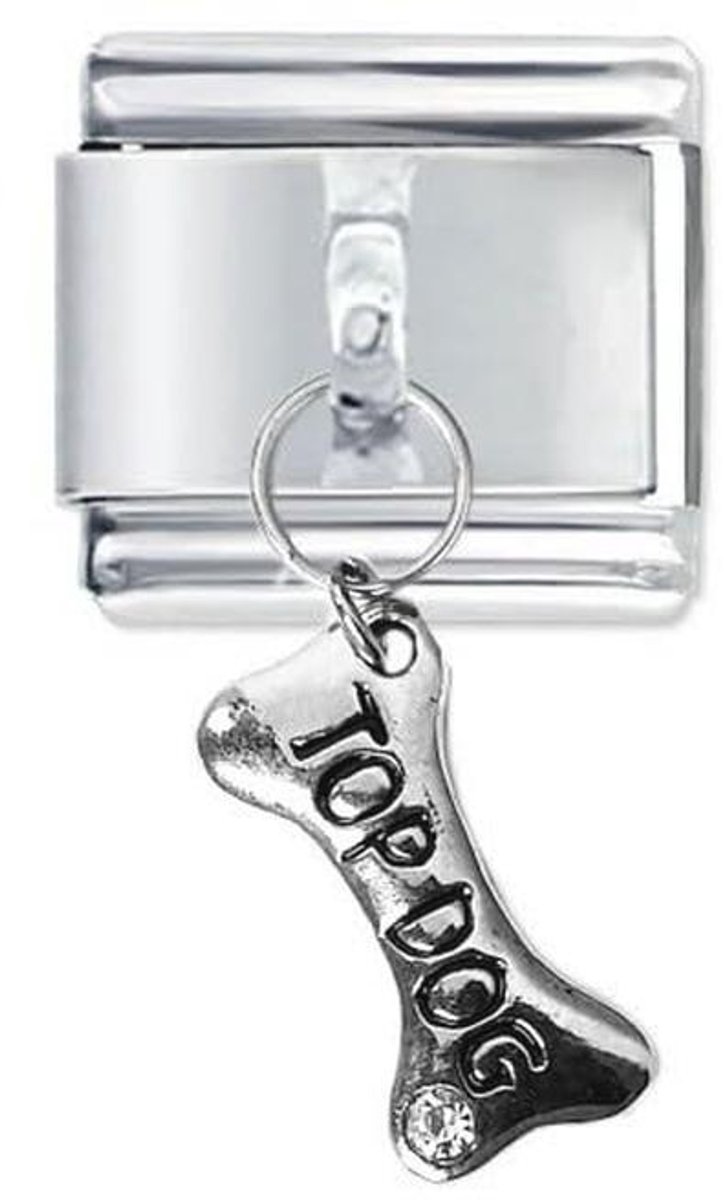 9mm Italiaanse Bedel Module Roestvrij Staal met Zirkonia | Charms voor Schakelarmbanden