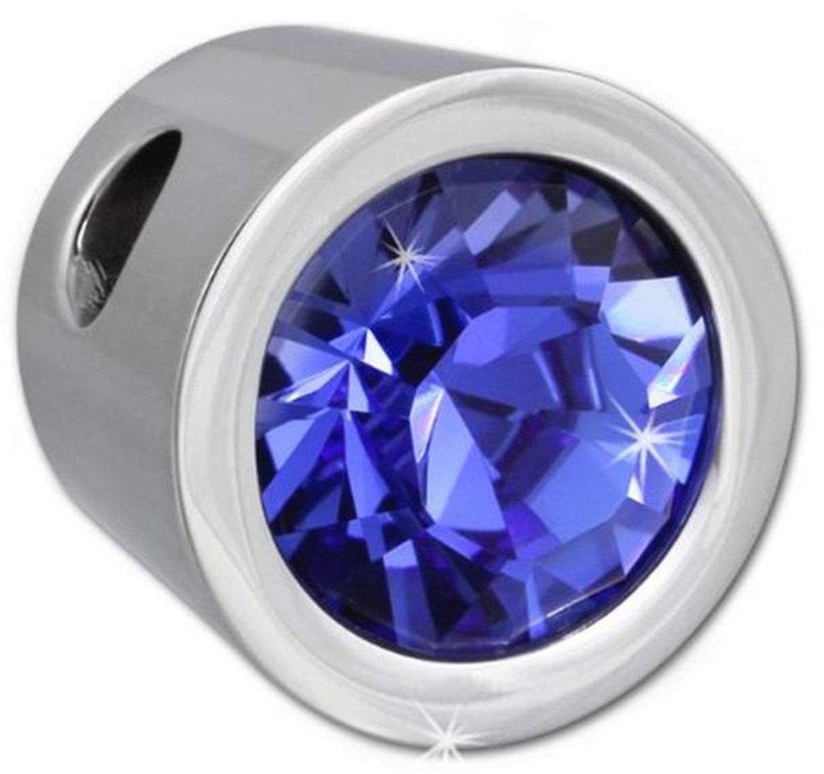 Stainless Steel Zirkonia Hanger met Blauw Swarovski Element voor Dames