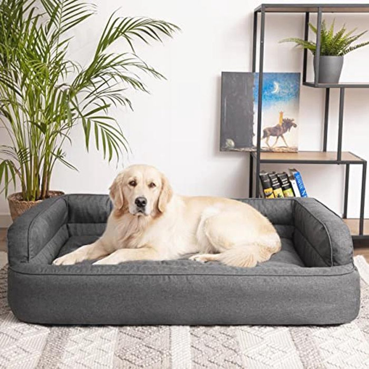 Hondenbed met Verwijderbare Overtrek en Dikke Matras - Meubels voor Honden en Katten - XXL 117x79 cm