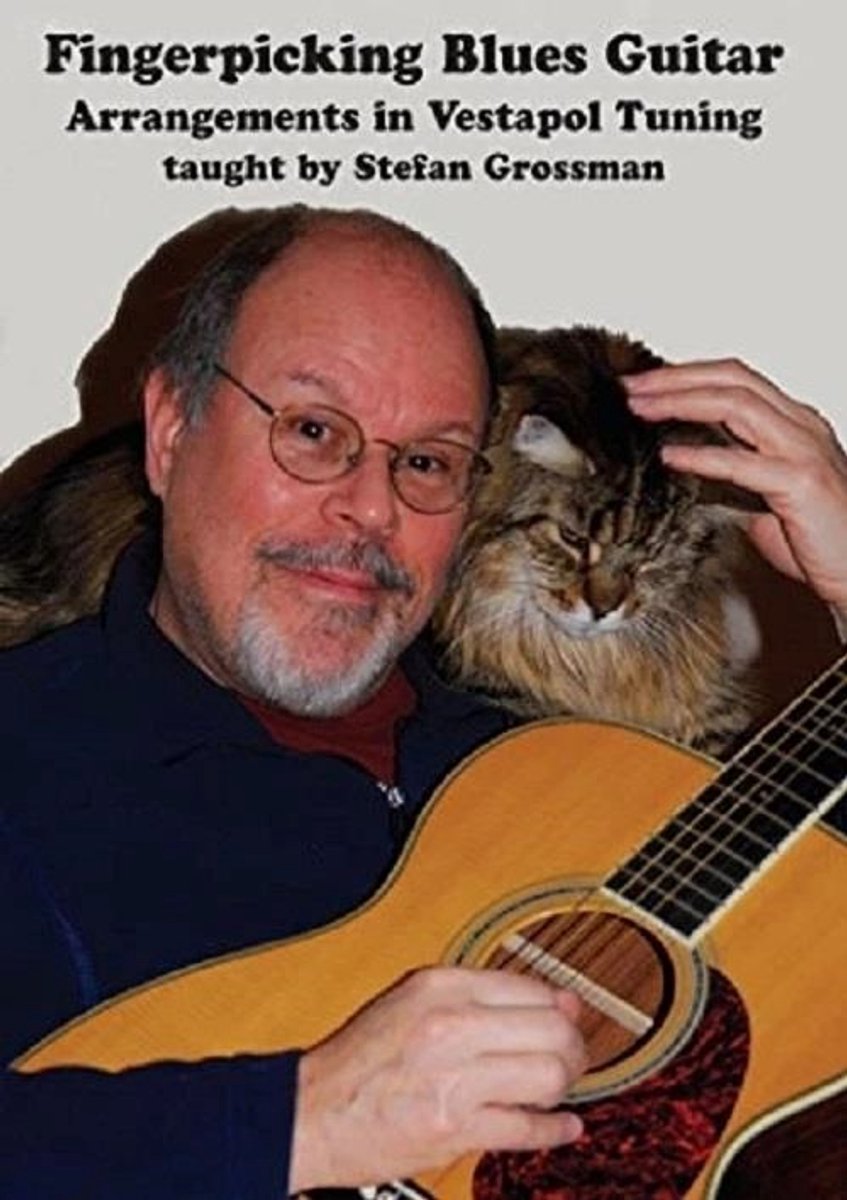 Stefan Grossman - Fingerpicking Blues Guitar (DVD)