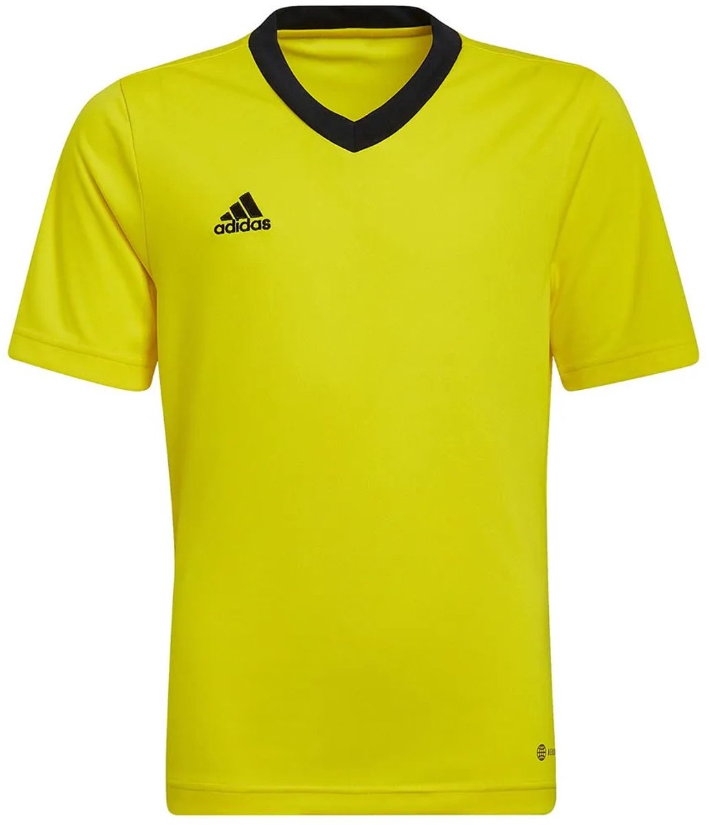 Adidas Entrada 22 T-shirt Met Korte Mouwen Geel 15-16 Years Jongens,Meisjes