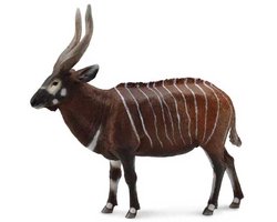 COLLECTA Figurine - Bongo - (XL)