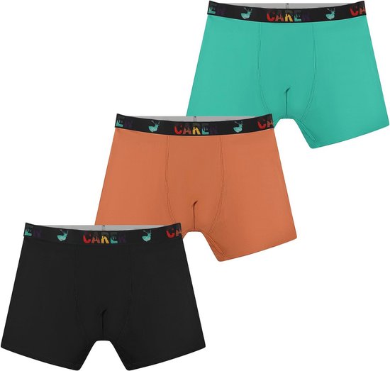 Incontinentie Boxer Shorts voor Jongens - Set van 3 Herbruikbare Katoenen Onderbroeken met 100 ml Absorptie voor Urineverlies en Onderwijs Over Hygiëne, XS