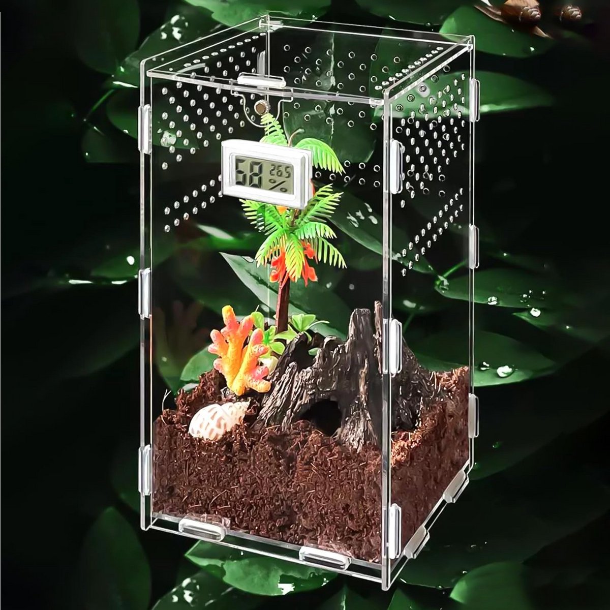 Reptielen Voederbox - Kweekbox Insectenbox - Huisdieren Houden - Met Elektronische Hygrometer - 20 x 12 x 12 cm - Transparant
