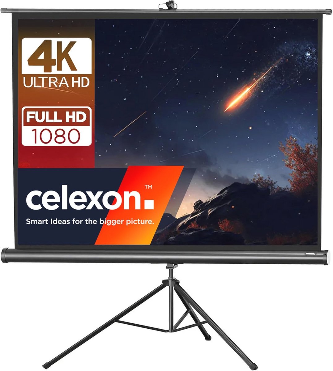 Stativleinwand Economy 244 x 183 cm - Mobiele Projectiescherm