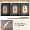 Demonstratie van dimbare helderheid met 6 lichtniveaus en bedieningspaneel.