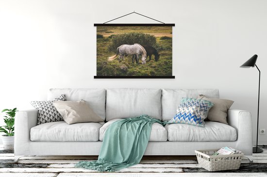 Porte-affiche avec affiche - Affiche scolaire - Paarden - Herbe - Arbuste - 120x80 cm - Lattes noires