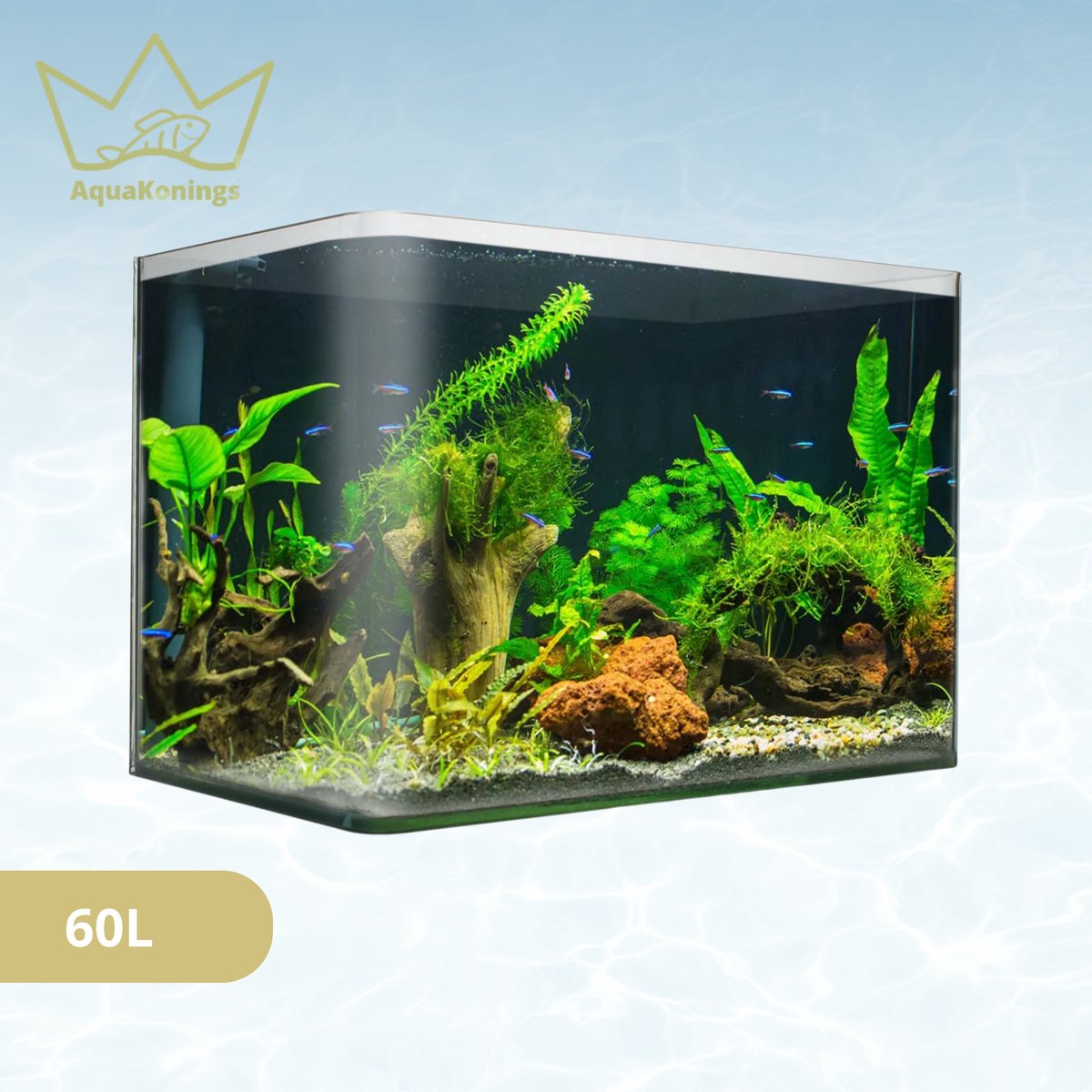 AquaKonings – Aquarium – Aquarium met afgeronde hoeken - Aquariumkit 60x30x36 64L