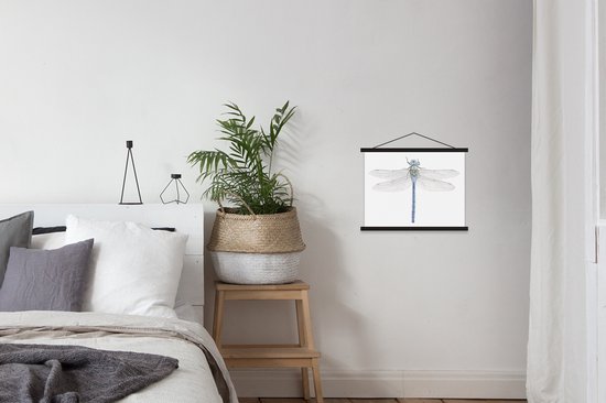 illustration d'une libellule sur fond blanc affiche scolaire lattes noires plates 40x30 cm - petit - tirage photo sur poster textielposter (décoration murale salon / chambre)