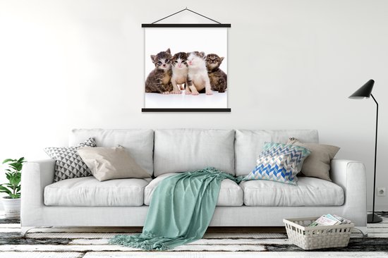 Affiche scolaire - Chat - Animaux domestiques - Fourrure - Portrait - 90x90 cm - Lamelles noires