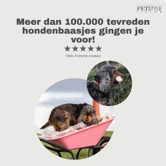 Twee cockerspaniëls in een kruiwagen, gevuld met PETSTYLE LIVING hondensnacks. Een hond met een snack in zijn bek.