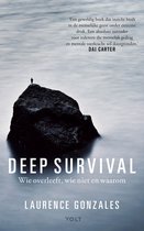 E-book