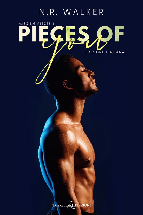 Missing Pieces 1 - Pieces of you