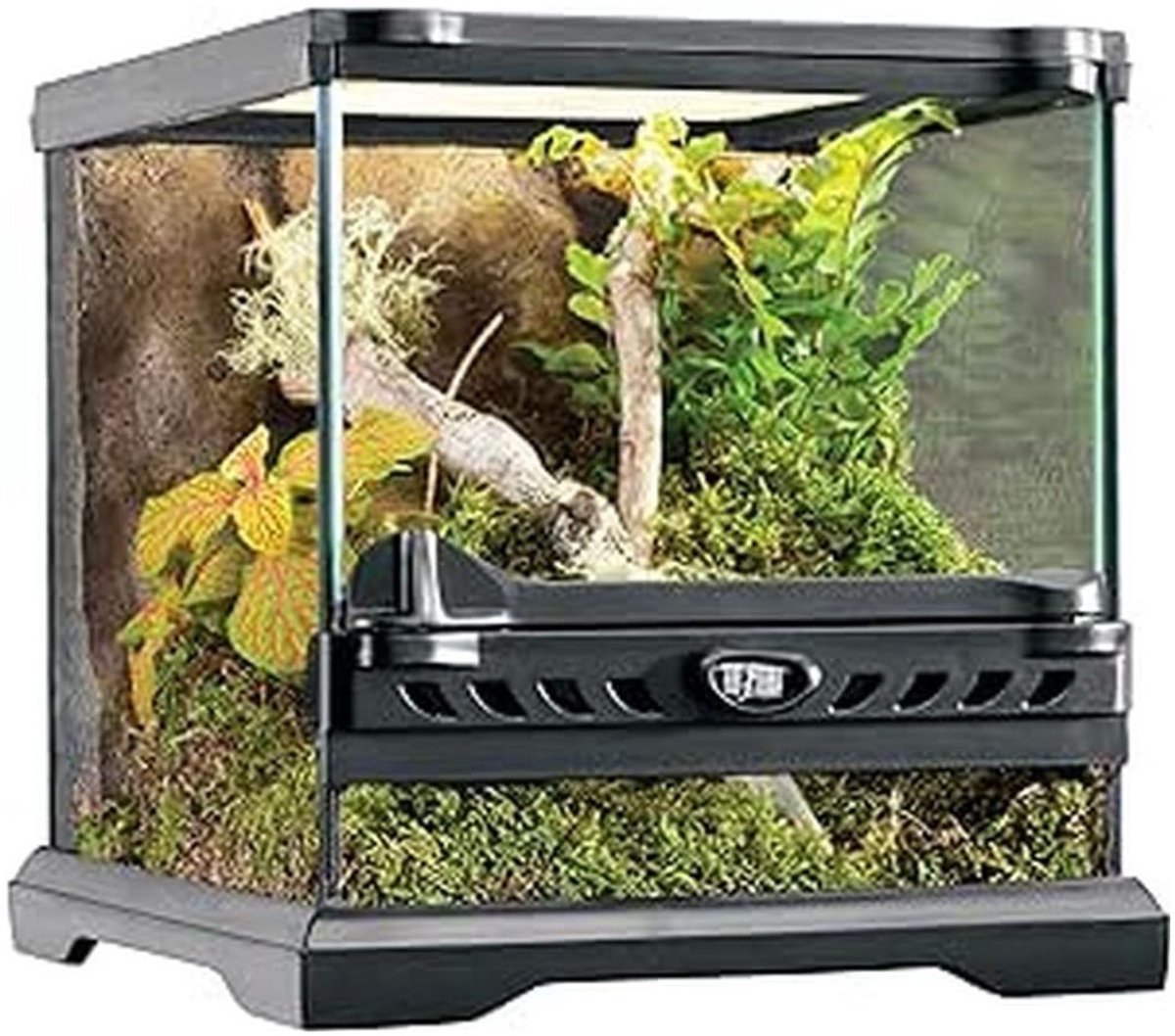 White-Label® Terrarium - Ecosysteem - Reptielenverblijf - Zwart