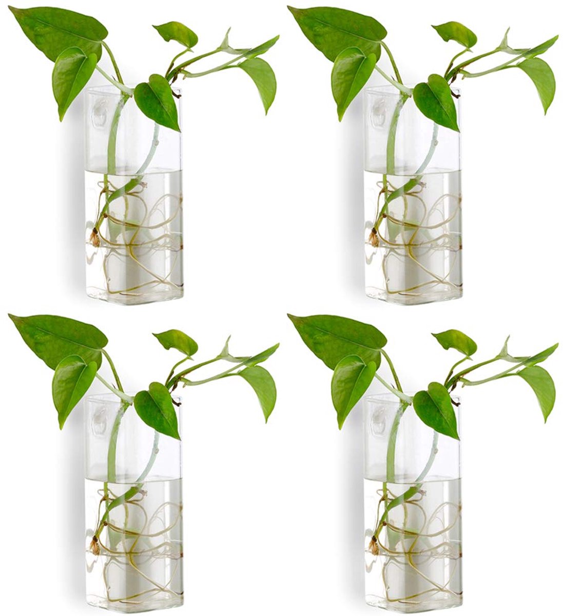IMPERATORIS® Glazen Vazen / Glazen Flessen – Mini Decoratieve Vaas Flesjes – Helder Glas – Inclusief Strik – 6 Stuks – 6 x 15 cm – Transparant