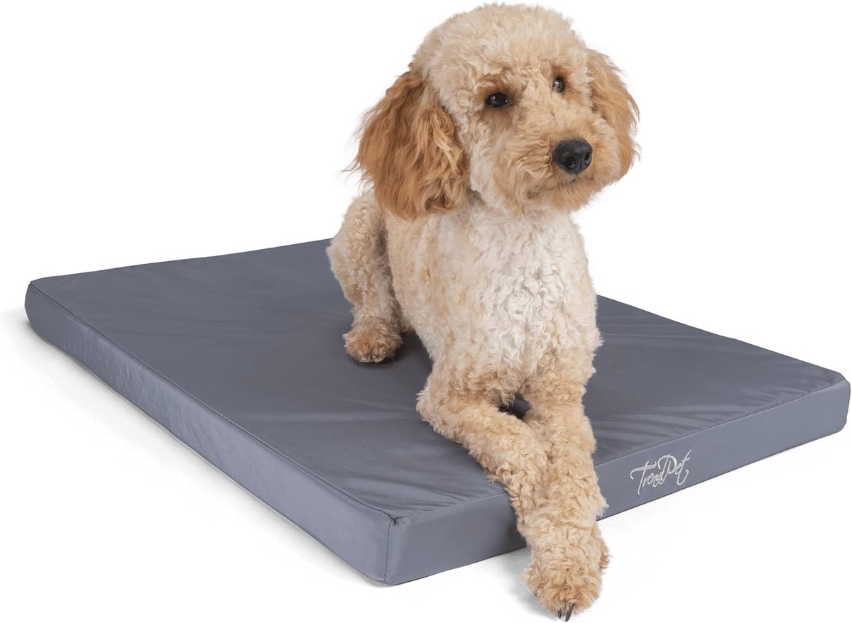 Waterafstotende Orthopedische Matras voor Honden 50x35 cm - Comfortabel en Ondersteunend