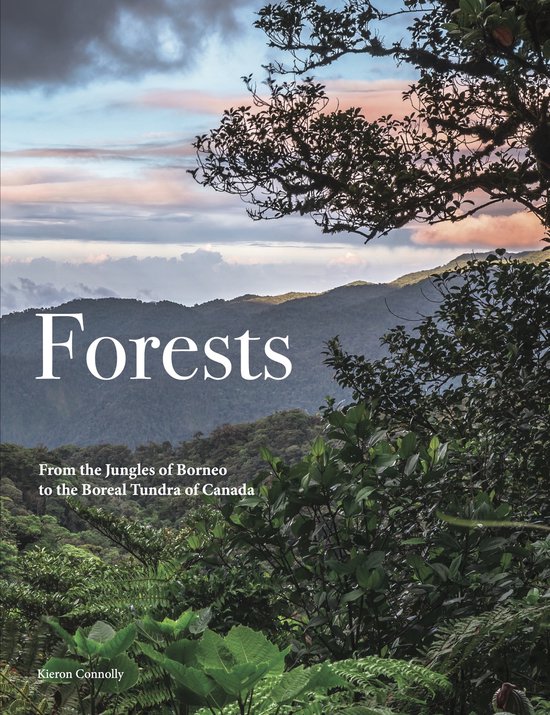 Travel [Portrait format]- Forests - cover