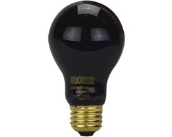 Nachtelijke warmtelamp 50 W voor reptielen | Terrarium verwarming