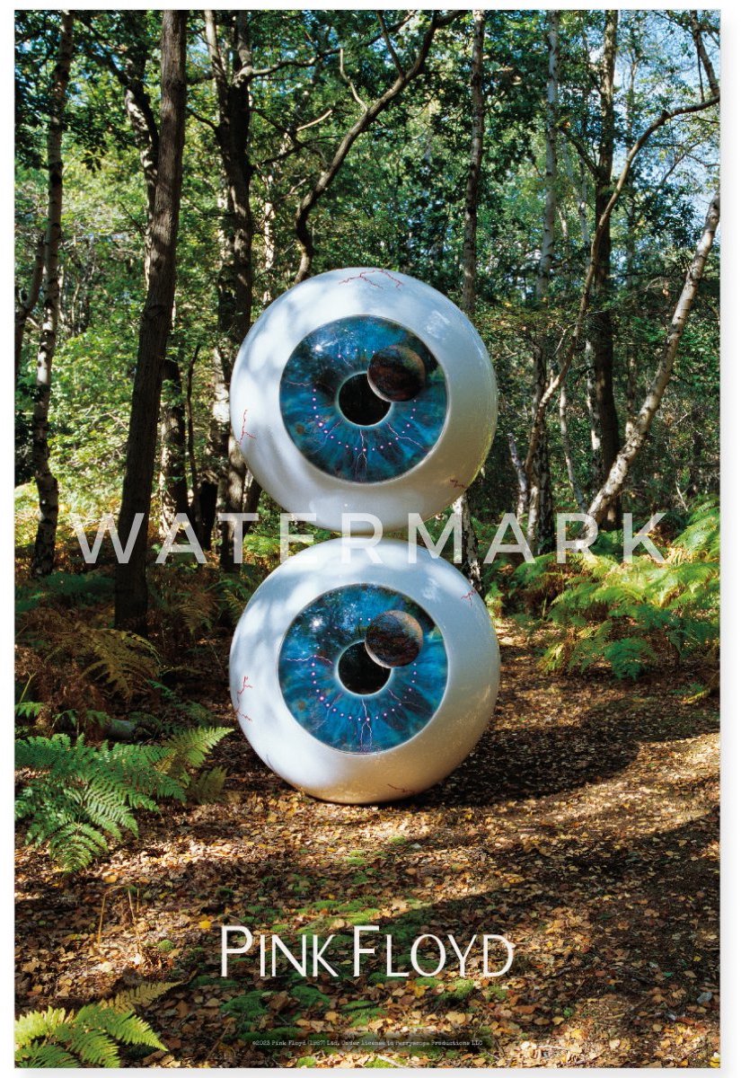 Pink Floyd Pulse Album Cover Poster 40x60 cm