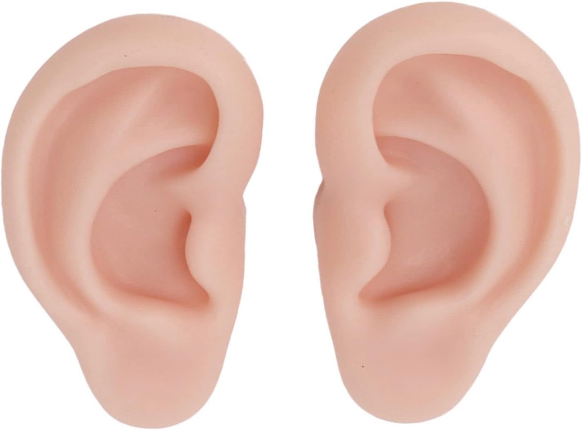 Zachte Silicone Oor Model - Kunstmatig Oor Model - 1 Paar Flexibel Simulatie Oor Model voor Oorbellen Display