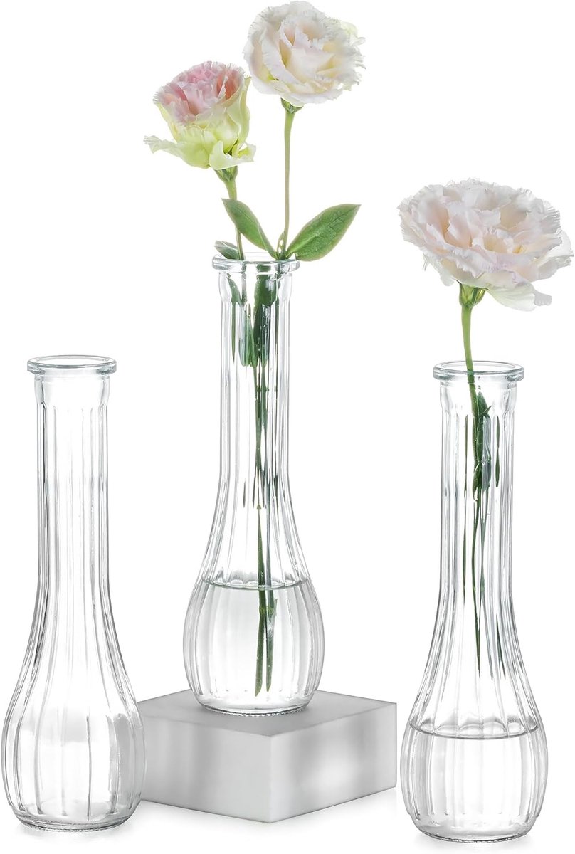 Famanu – Glazen vaasjes set van 3, geribbeld design, kleine decoratieve vazen voor bloemen, geschikt voor woonkamer en tafeldecoratie (hoogte ca. 21,7 cm)