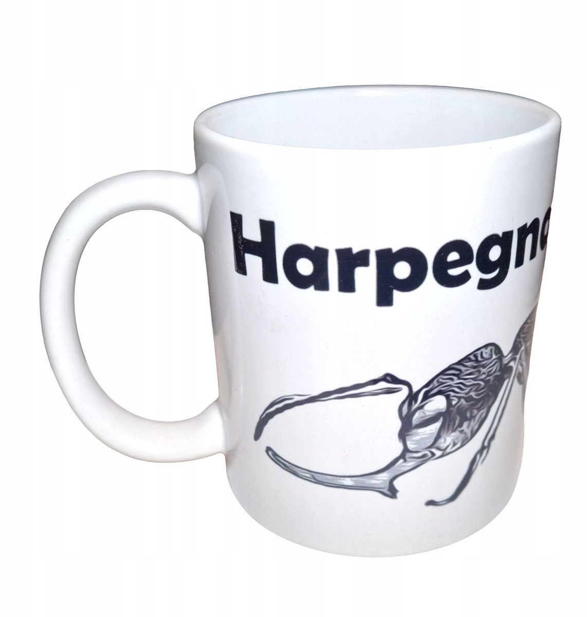 Harpegnathos venator AH-9 AntHunter Mok - Perfect Cadeau